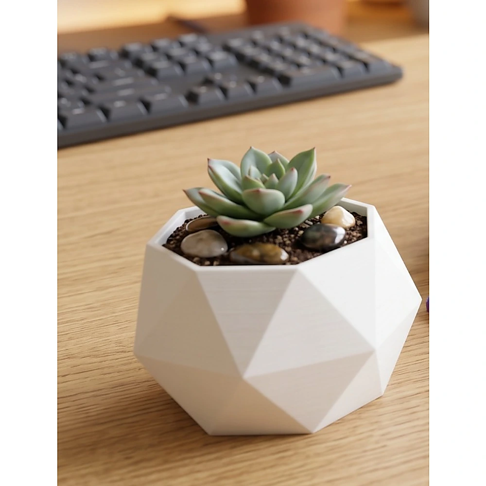 Vaso decorativo 3D Premium